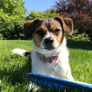 Meet your Posher, Brandt